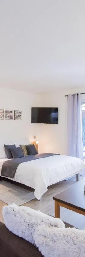 Apartmán Sophia 4 s terasou，位于大洛西尼的酒店