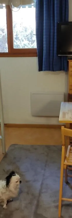 PETIT STUDIO 17 M2，位于拉富的酒店