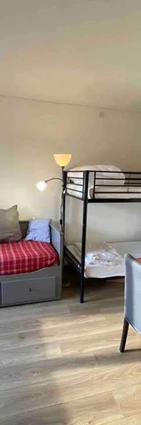 Studio 4 personnes résidence la Souce，位于拉吉约勒的酒店