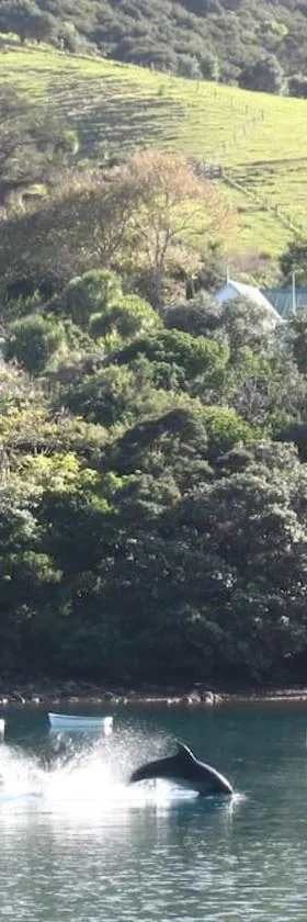 Glenfern Sanctuary，位于Port Fitzroy的酒店