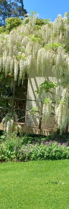 Aramatai Gardens，位于蒂库伊蒂的酒店