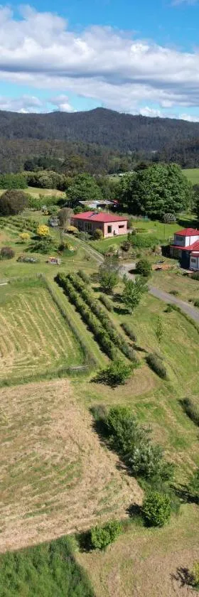 Cherry Top Farmstay - Boutique Eco Village，位于Lilydale的酒店