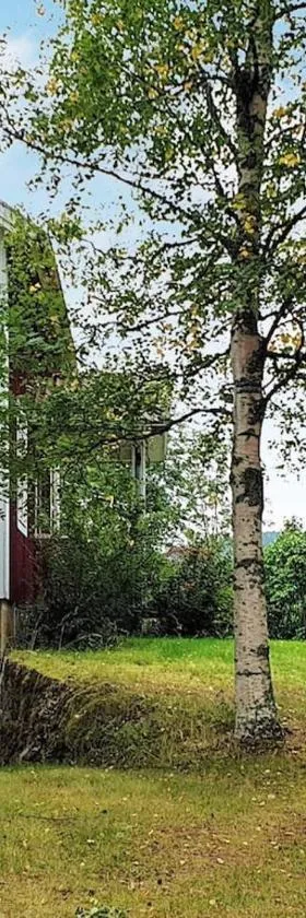 4 person holiday home in JÄRVSÖ-By Traum，位于耶尔夫瑟的酒店