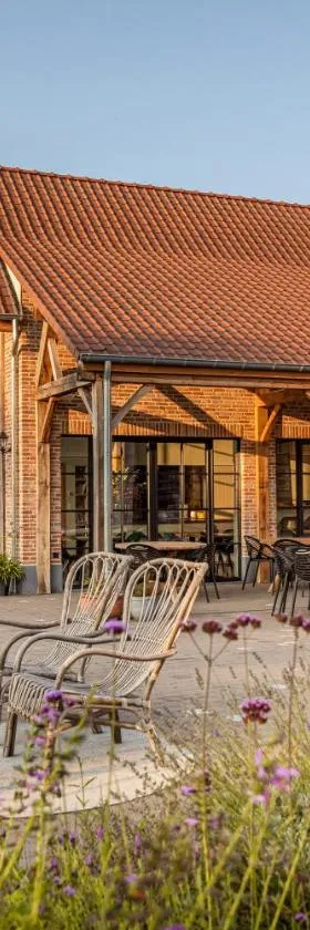Casa Cava B&B，位于登德尔蒙德的酒店