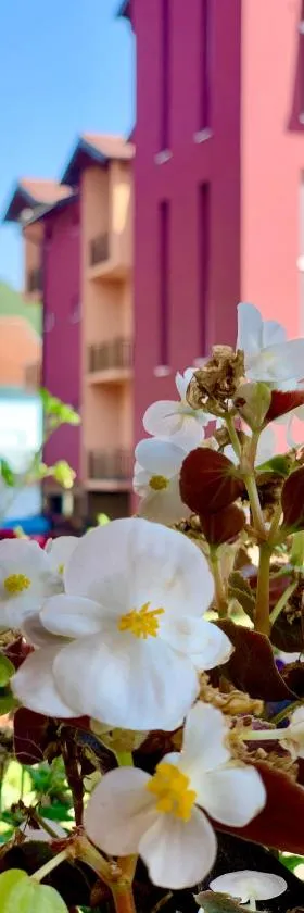 Hotel Casablanca，位于Goražde的酒店