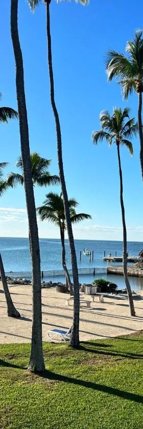 Breezy Palms Resort，位于伊斯拉莫拉达的酒店