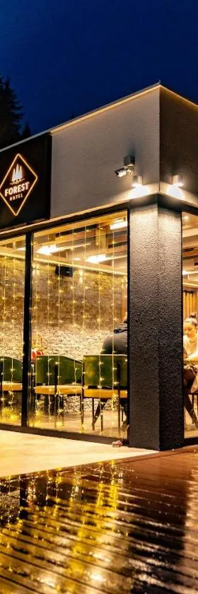 Hotel Forest，位于帕莱的酒店