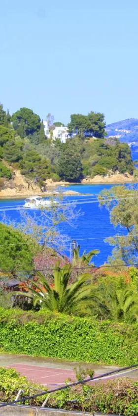 Tzaneria Apartments Skiathos，位于卡纳皮特萨的酒店