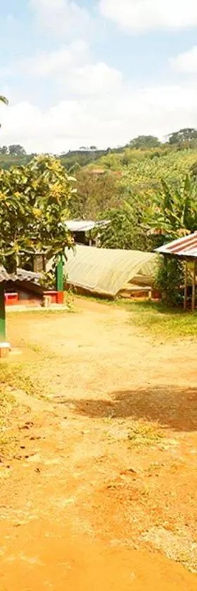Caficultur -Alojamiento Rural，位于Buenavista的酒店