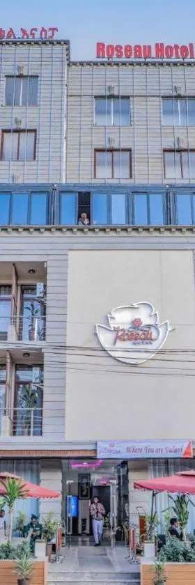 Roseau Hotel And Spa，位于贡德尔的酒店