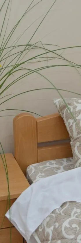 Guest House Konak Iris，位于普雷德亚内的酒店