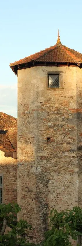 La tour Bocsozel，位于La Côte-Saint-André的酒店