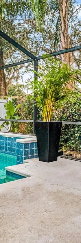 Modern House in Clearwater with access to a Shared Swimming Pool，位于塞夫蒂港的酒店