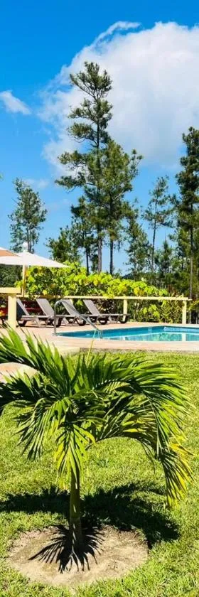 Kane Villas - Mountain Pine Ridge，位于圣伊格纳西奥的酒店