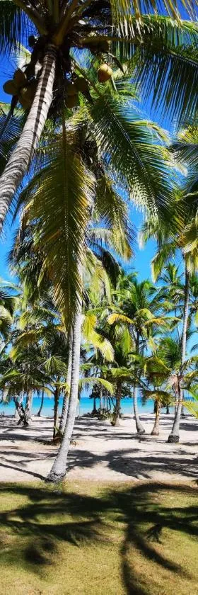 Hotel Playa Mandala，位于帕洛米诺的酒店