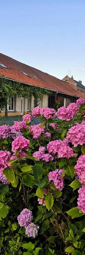 Eco-Gîte de L'Etang Présent，位于Hornaing的酒店