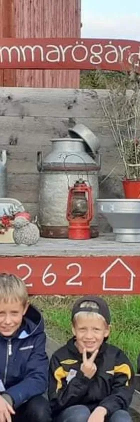Sommarö Stugor，位于弗格罗的酒店