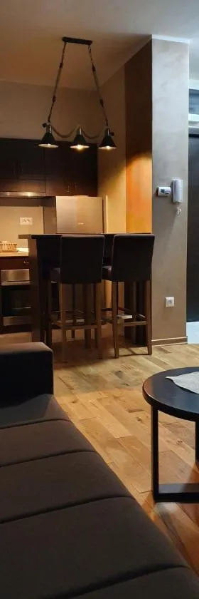 Apartman 23/5 Titova vila Zlatibor，位于Palisad的酒店
