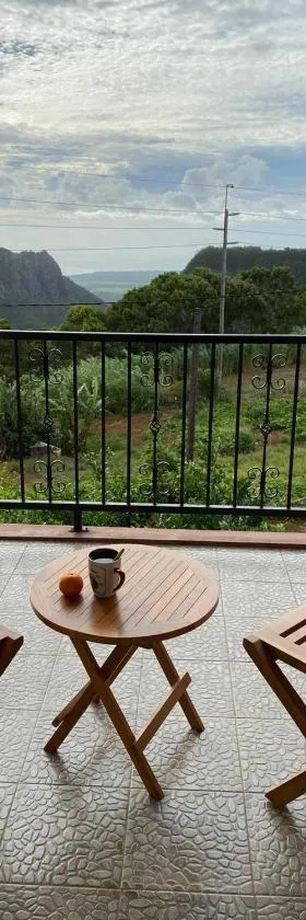Green Discovery B&B Tamarind Falls 7 Cascades，位于Henrietta的酒店