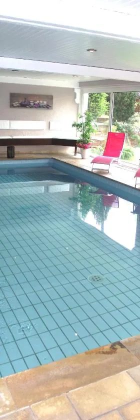 Spa Hôtel Restaurant Au Lion d'Or，位于拉佩蒂特皮耶尔的酒店