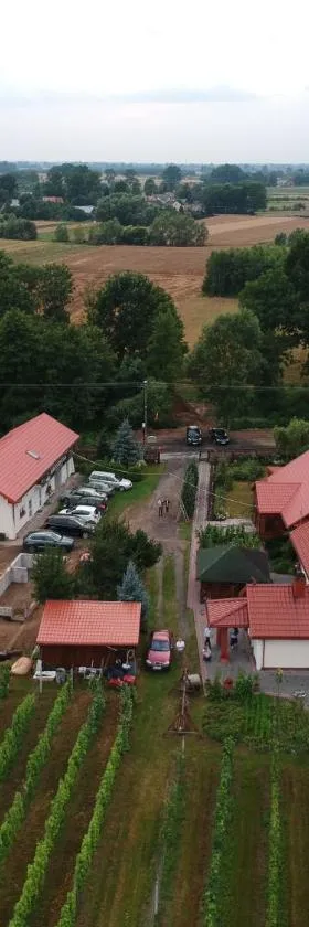Agroturystyka ROGALA，位于Młodochów的酒店