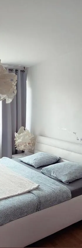 Bel Appartement near Bâle Mulhouse Airport，位于圣路易的酒店