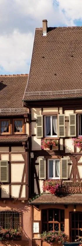 Hôtel A la Vignette - COLMAR-NORD，位于圣伊波利特的酒店