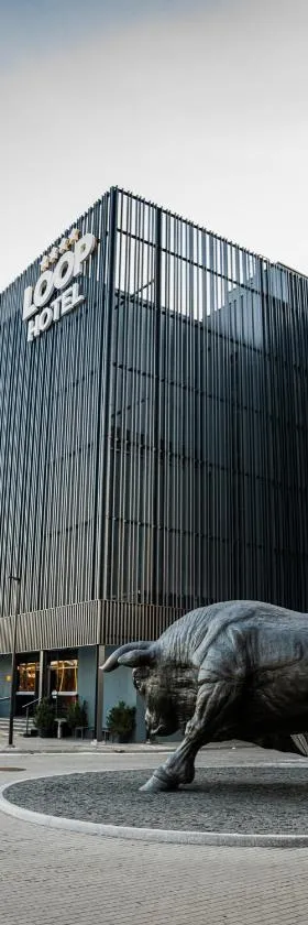 维尔纽斯路普酒店，位于维尔纽斯的酒店