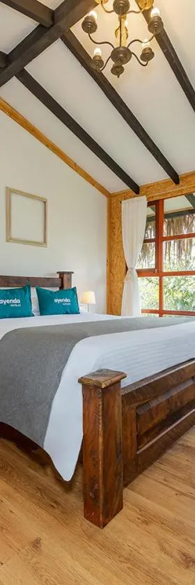 Ayenda Llanogrande Inn，位于里奥内格罗的酒店