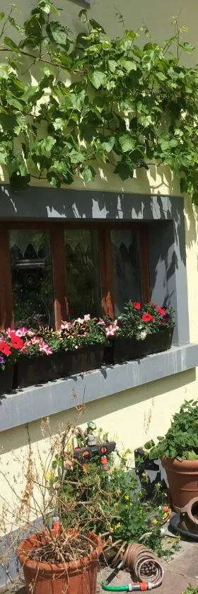 Ferienhaus mit Naturgarten，位于Dachsen的酒店