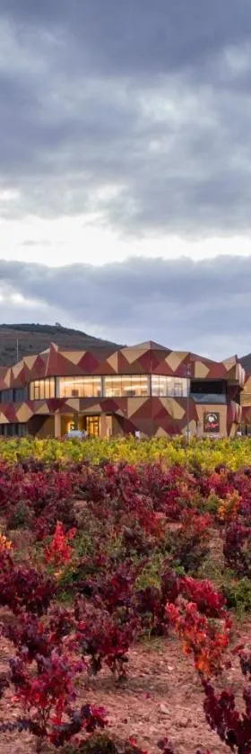 Hotel Bodega FyA - GRUPO PIÉROLA，位于纳瓦雷特的酒店