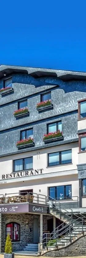 Hôtel du Lac，位于比特亨巴赫的酒店