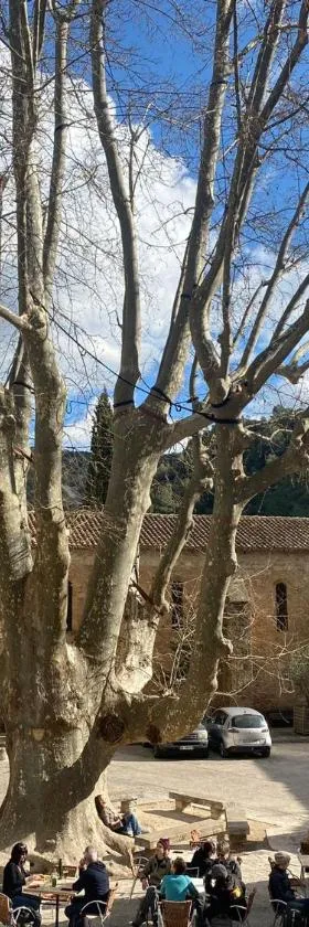 MACLENFA: charmant studio au cœur de l’Herault.，位于圣吉扬莱代塞尔的酒店