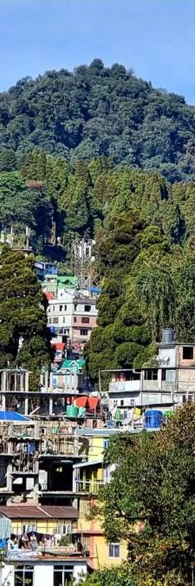 Neoravalley Homestay, Lava，位于里希普的酒店