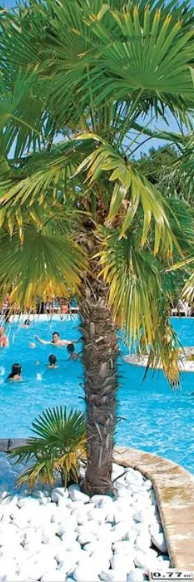 Camping les viviers Super Mobilhome，位于Claouey的酒店