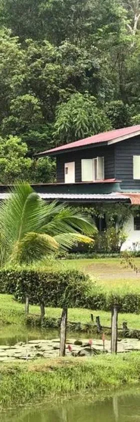 Noungan Farm Homestay，位于宾南邦的酒店
