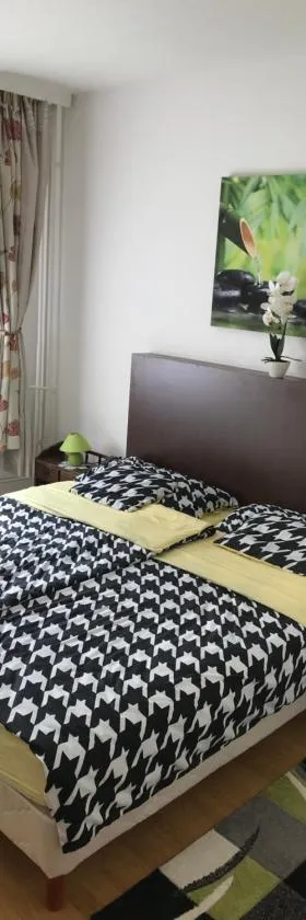 Zen apartman，位于索尔诺克的酒店