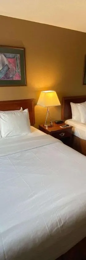 Comfort Inn & Suites Morton - Peoria，位于Morton的酒店
