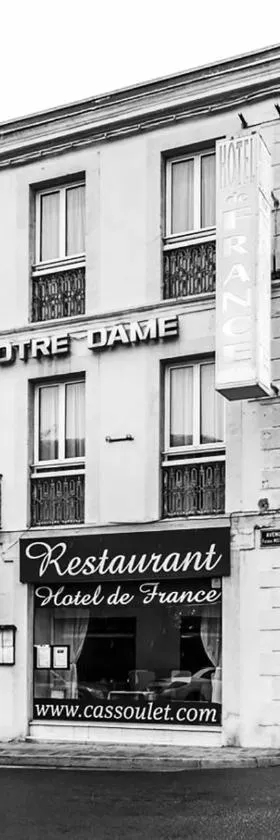 Hôtel Restaurant de France，位于卡斯泰尔诺达里的酒店