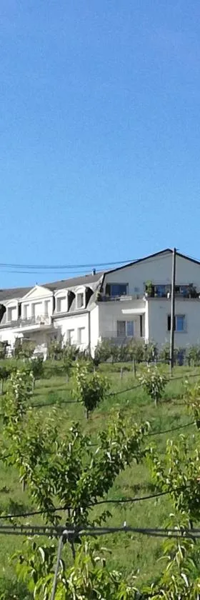GÎTE de la FERME，位于Pfastatt的酒店