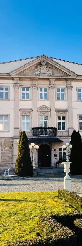 Pałac Brunów - Wellness & SPA，位于希隆斯克地区勒武韦克的酒店