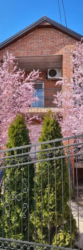 Apartment Ken，位于Surčin的酒店