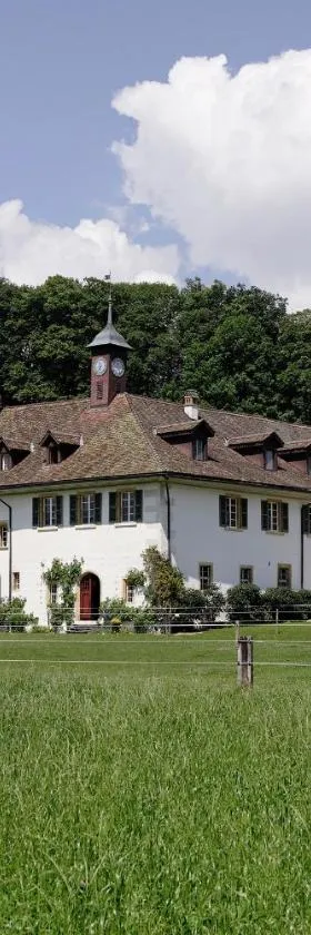 Hotel St Petersinsel，位于Sankt Petersinsel的酒店