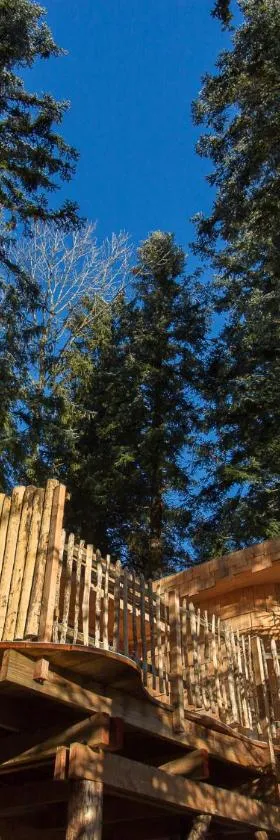 Domaine de l'Authentique Cabanes dans les arbres，位于Fournet-Blancheroche的酒店