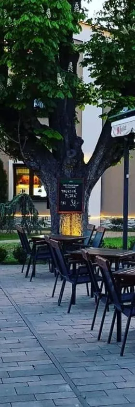 栗子下酒店及餐厅，位于Krupka - Marsov的酒店