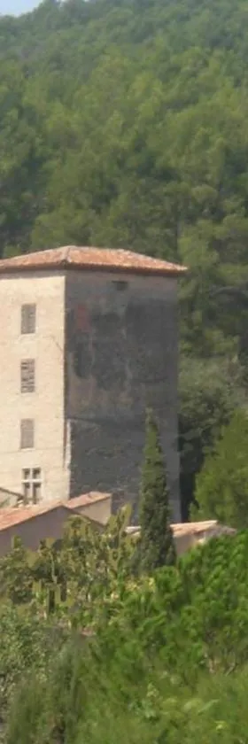 Le Gîte des Templiers à Montfort-sur-Argens，位于Montfort-sur-Argens的酒店