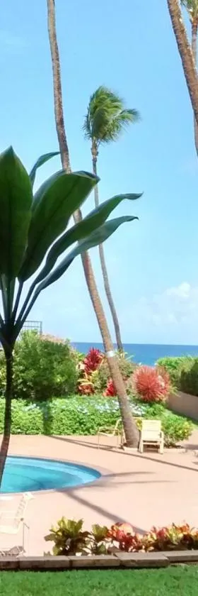 Hale Ono Loa Condo，位于卡哈纳的酒店