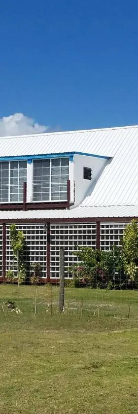 The BNB on Triggerfish Close to the airport，位于Ladyville的酒店