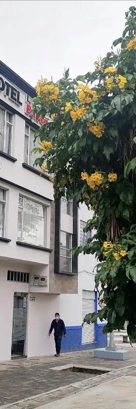 Hotel LB - Los Balsos，位于帕斯托的酒店