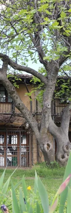 Casa Rural - Apartamentos Atuvera，位于贝拉新镇的酒店
